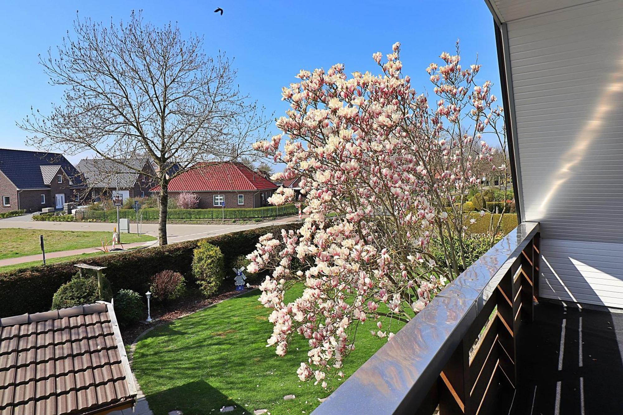 Ferienwohnungen "Zur Friesen Freude" - Nur Fuer Feriengaeste Dornum Exterior photo